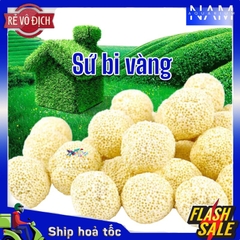 Vật liệu lọc
