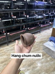 Hang gốm đồ chơi