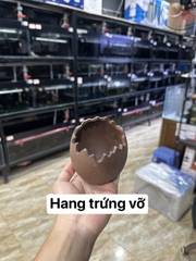 Hang gốm đồ chơi