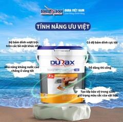 Sơn Chống Thấm DURA Trong Suốt Đa Năng – Dùng Cho Tường, Cửa Sổ, Sàn, Ban Công, Máng Xối Gỗ Công Nghiệp