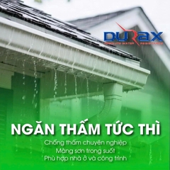 Sơn Chống Thấm Trong Suốt DURAX D5 Đa Năng