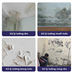 Sơn Chống Thấm Taiko CT4 – Thi Công Trực Tiếp Trên Bề Mặt Ẩm, Kháng Muối, Kháng Kiềm