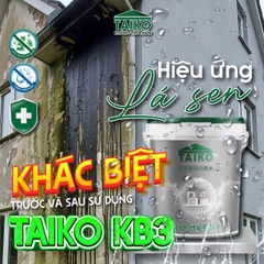 Sơn Chống Thấm Tường Đứng TAIKO KB3 – Gốc Nước, Không Pha Xi Măng, Bền 10 Năm