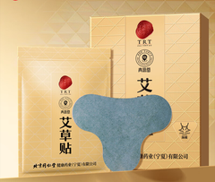 Miếng dán ngải cứu Đồng Nhân Đường (12 miếng)