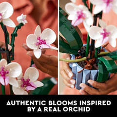 Bộ lắp ghép hoa phong lan giả LEGO Botanicals Orchid