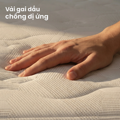 Rivius Lulia - Hybrid Green Foam