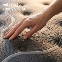 Rivius Haven - Hybrid Original