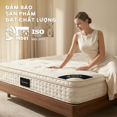 Rivius Resta - Hybrid Premium