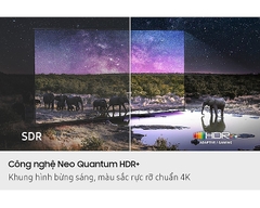 65 Inch Neo QLED QN90F 4K Samsung Vision AI Smart TV (2025)