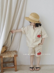 SET Kem Hình Táo Túi Trước