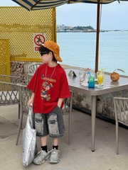 AN Đỏ Vịt FS