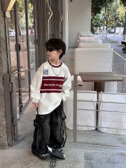 AD Xám Đỏ 2013 FS