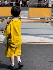 SN Vàng Sọc Đen PL