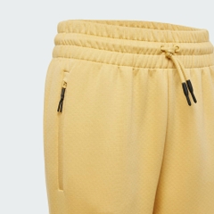 Quần Dài Adidas Chính Hãng - Z.N.E. Tapered-Leg Bottoms - Màu Vàng | JapanSport JF2493