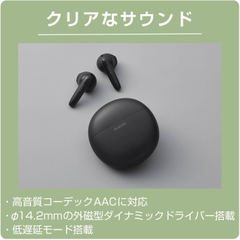 Tai nghe Bluetooth Elecom - LBT-TWS17BK Wireless Earphones | JapanSport