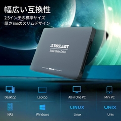Ổ cứng TECLAST 256GBA810 Internal SSD, 6Gb/s / 256 GB – X0010BG9XZ | JapanSport
