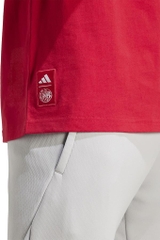 Áo Phông Adidas Nam Chính Hãng - Ajax Amsterdam Seasonal Graphic Tee - Màu Đỏ | JapanSport JM7354