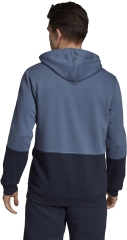 Áo Hoodie Adidas Chính Hãng - CELEBRATE THE 90S COLORBLOCK OTH - Màu Xanh | JapanSport EI5625