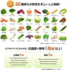 Viên rau củ quả DHC Domestic Perfect Vegetable Premium 30 ngày | JapanSport