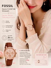 Đồng hồ Fossil Chính hãng - Neutra Chronograph Rose Gold-Tone Stainless Steel Watch Case | JapanSport C161007