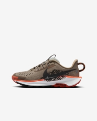 Giày Nike Chính hãng - Pegasus Trail 5 (GS) - Màu nâu | JapanSport FV5638-200
