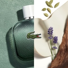 Nước Hoa Lacoste Chính hãng - Lacoste L.12.12. Blanc Eau Intense 100ml | JapanSport