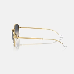 Kính Ray-Ban Chính hãng - Polished Arista Gold - RB3733 001/78 56mm - Nam | JapanSport