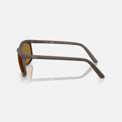 Kính Ray-Ban Chính hãng - LITEFORCE - RB4452CH-612473 - 56mm | JapanSport