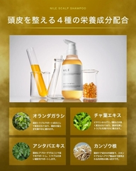 Dầu gội NILE chính hãng - NILE Rich Foam Scalp Shampoo - 300ml | JapanSport