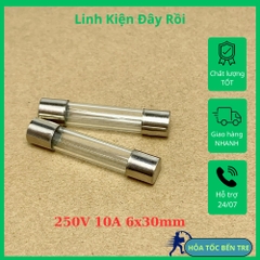5 cái cầu chì ống thủy tinh 250V 10A kích thước 6x30mm