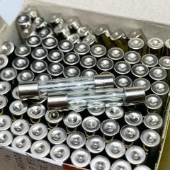 5 cái cầu chì ống thủy tinh 250V 10A kích thước 6x30mm