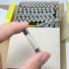 5 cái cầu chì ống thủy tinh 250V 10A kích thước 6x30mm