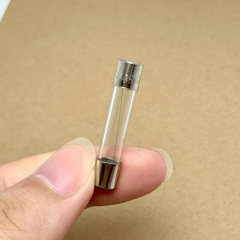 5 cái cầu chì ống thủy tinh 250V 12A kích thước 6x30mm