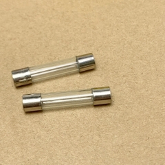5 cái cầu chì ống thủy tinh 250V 1A kích thước 6x30mm