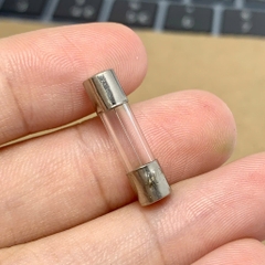 10 cái cầu chì ống thủy tinh 250V 2.5A kích thước 5x20mm