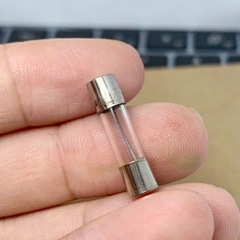 10 cái cầu chì ống thủy tinh 250V 15A kích thước 5x20mm
