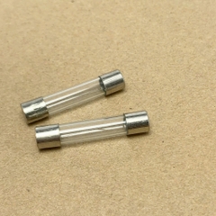10 cái cầu chì ống thủy tinh 250V 2A kích thước 6x30mm