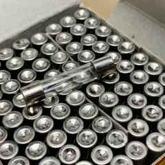 10 cái cầu chì ống thủy tinh 250V 2A kích thước 6x30mm