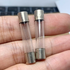 10 cái cầu chì ống thủy tinh 250V 6A kích thước 6x30mm