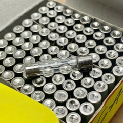 10 cái cầu chì ống thủy tinh 250V 6A kích thước 6x30mm