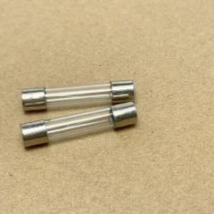 10 cái cầu chì ống thủy tinh 250V 6A kích thước 6x30mm