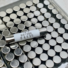 10 cái cầu chì ống thủy tinh 250V 16A kích thước 6x30mm