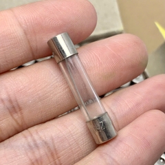 10 cái cầu chì ống thủy tinh 250V 20A kích thước 6x30mm