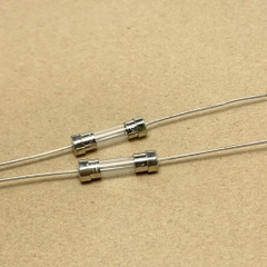 10 cái cầu chì ống thủy tinh 250V 4A chân cắm 5x20mm