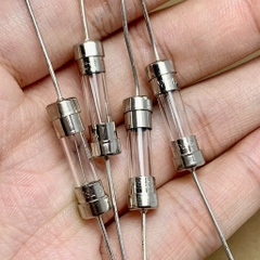10 cái cầu chì ống thủy tinh 250V 4A chân cắm 5x20mm