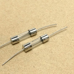 10 cái cầu chì ống thủy tinh 250V 10A chân cắm 5x20mm