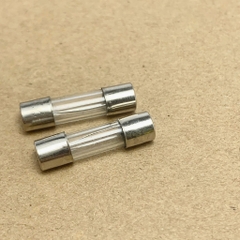 10 cái cầu chì ống thủy tinh 250V 25A kích thước 5x20mm