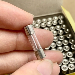 10 cái cầu chì ống thủy tinh 250V 3A kích thước 5x20mm
