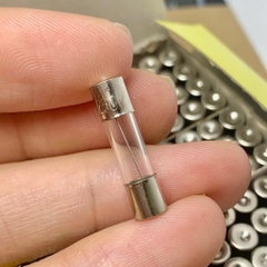 10 cái cầu chì ống thủy tinh 250V 8A kích thước 5x20mm