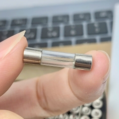 10 cái cầu chì ống thủy tinh 250V 8A kích thước 5x20mm